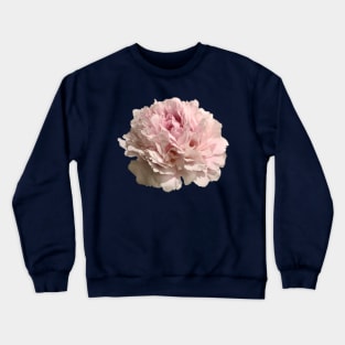 Pale Pink Peony Close-up Crewneck Sweatshirt